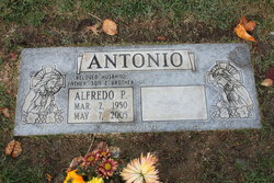 Alfredo Perez Antonio 