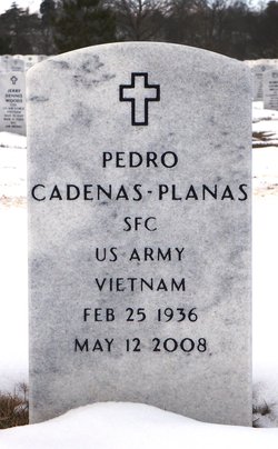 Pedro Cadenas-Planas 