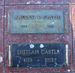 Andrew F Castle 