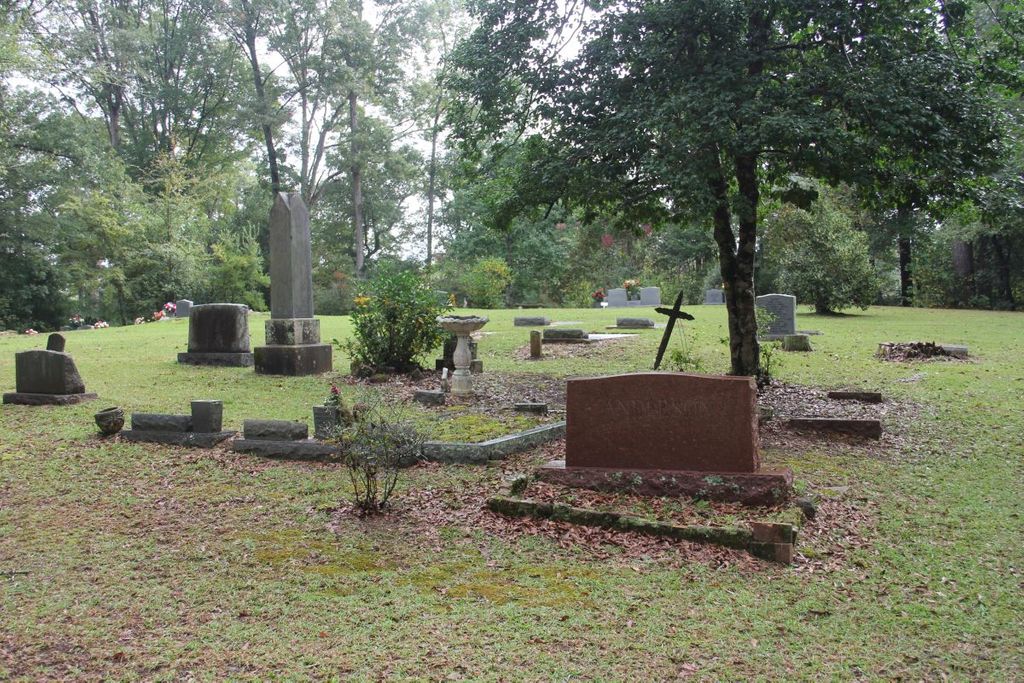 Anderson-Minter Cemetery