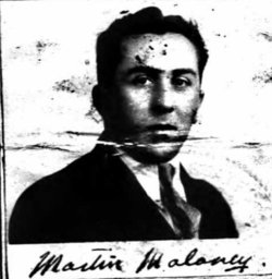 Martin Moloney 