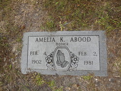 Amelia K Abood 