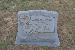 Adolphus Banks 