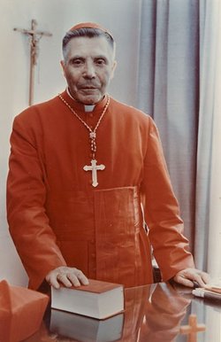Cardinal Vincentas Sladkevicius 