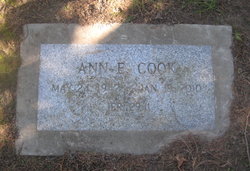 Ann Ellen Cook 