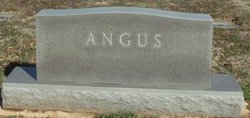 Angus 