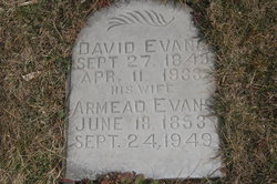 David Evans 