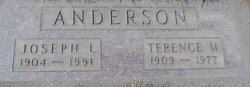 Terence M Anderson 