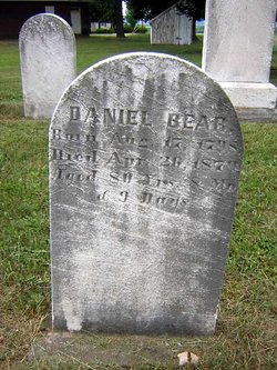 Daniel Bear 