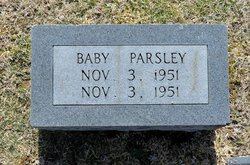 Baby Parsley 