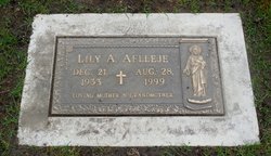 Lily A Aflleje 