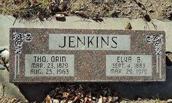 Thomas Orin Jenkins 
