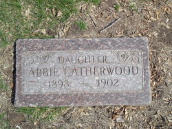 Abbie Catherwood 