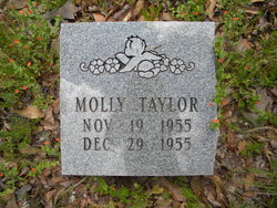 Molly Taylor 