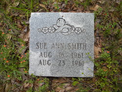 Sue Ann Smith 