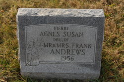 Agnes Susan Andrews 