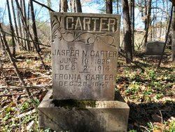 Jasper N. Carter 