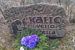 Vello Kalle 