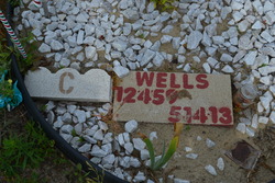 C. Wells 