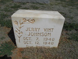 Jerry Vint Johnson 