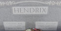 David LeLand Hendrix 