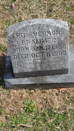 Roy Vernon Brammer 