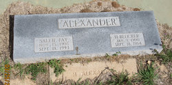 Sallie Fay <I>Souther</I> Alexander 