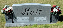 Sue Ann Holt 