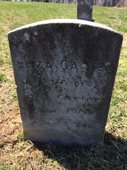 Elizabeth Ann “Eliza” <I>Hill</I> Carter 