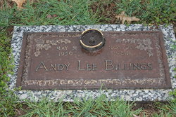 Andy Lee Billings 