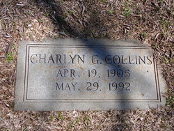 Charlyn Susan <I>Godberg</I> Collins 