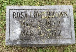 Rosa Love Brown 