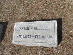 Anton Gellert 