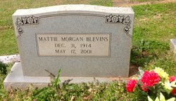 Mattie “Johnny” <I>Morgan</I> Blevins 