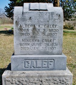 Albert Austin Calef 