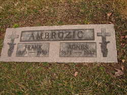 Frank John Ambrozic 