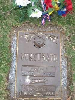 Joseph P Fortunato 