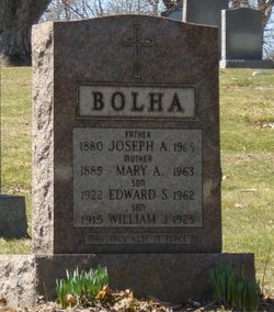 Edward S. Bolha 