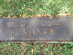 David Kushner 