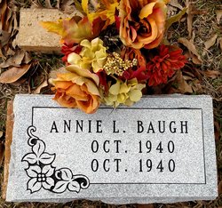 Annie Louise Baugh 