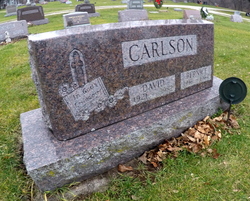 David A. Carlson 