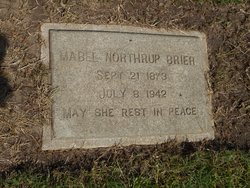 Anna Mabel “Mabel” <I>Northrup</I> Brier 