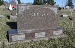 Michael G Senger 