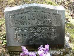 Celia Jane <I>Parks</I> Adams 
