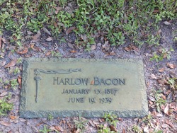 Harlow Bacon 