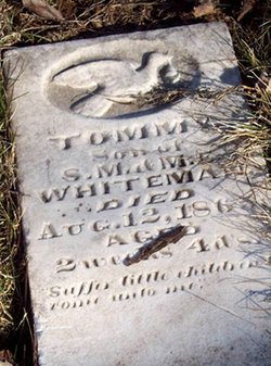 Tommy Whiteman 