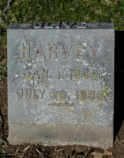 Olive Harvey 