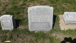 Anna S. Briggs 