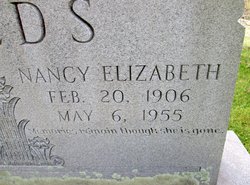 Nancy Elizabeth “Lizzie” <I>Casteel</I> Fields 