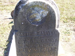 Arthur Harvey Gandy 